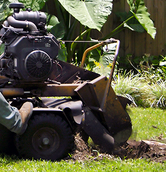 Stump Grinding in Orlando